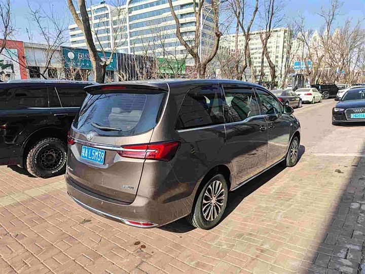 Фото 5 - Buick GL8 ES