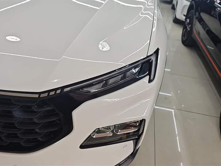 Фото 5 - Ford Equator Sport