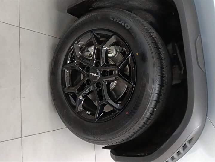 Фото 6 - BYD FangChengBao Titanium 3 (Tai 3)