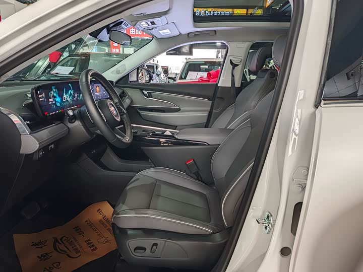 Фото 4 - Buick Electra E5