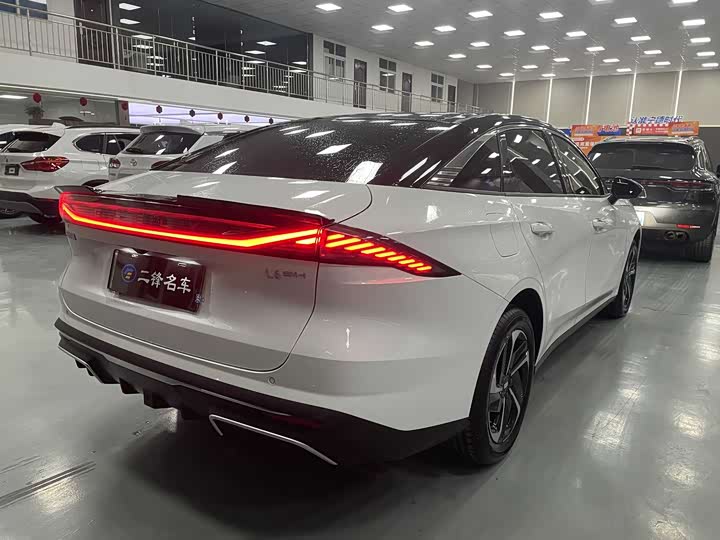 Фото 4 - Geely Galaxy L6