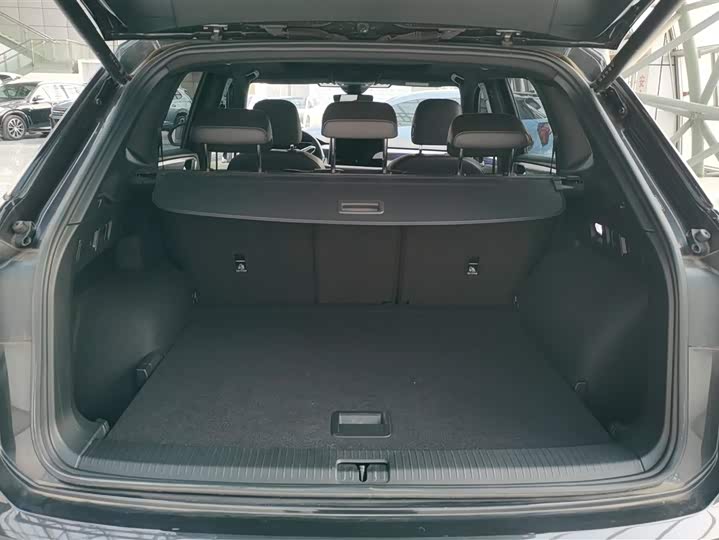 Фото 4 - Volkswagen Tayron