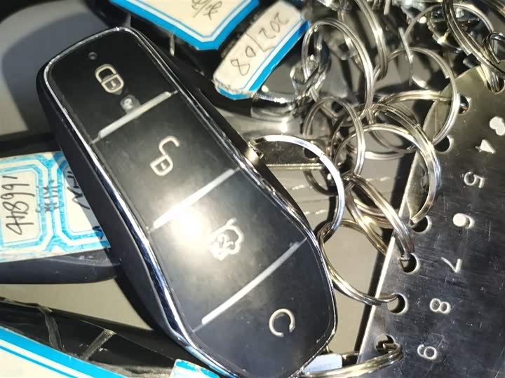 Фото 9 - BYD Sea Lion 05 DM-i Hybrid