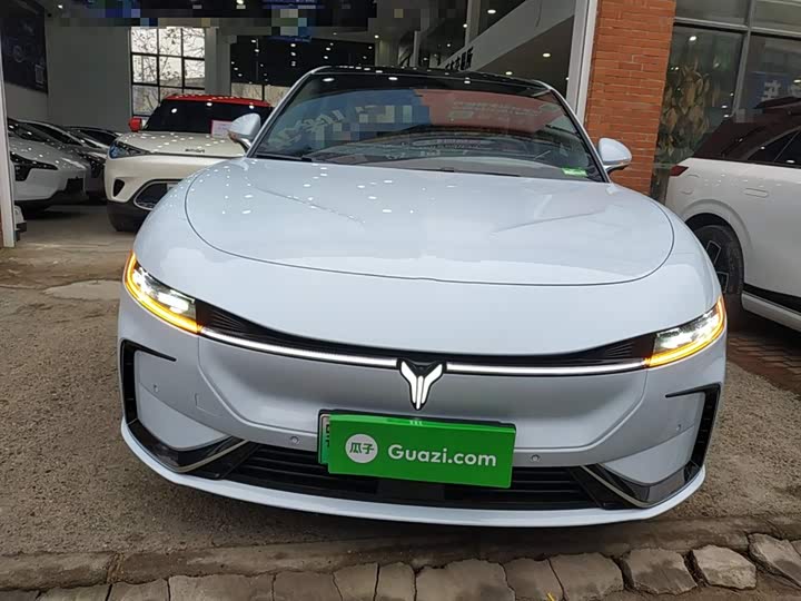 Фото 3 - Voyah Passion