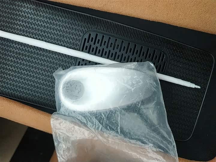 Фото 9 - Voyah Passion