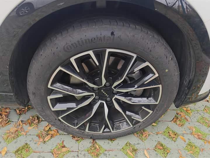 Фото 6 - Zeekr 7X