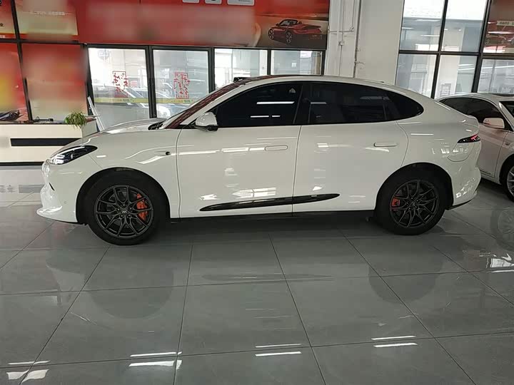 Фото 5 - IM motors LS6