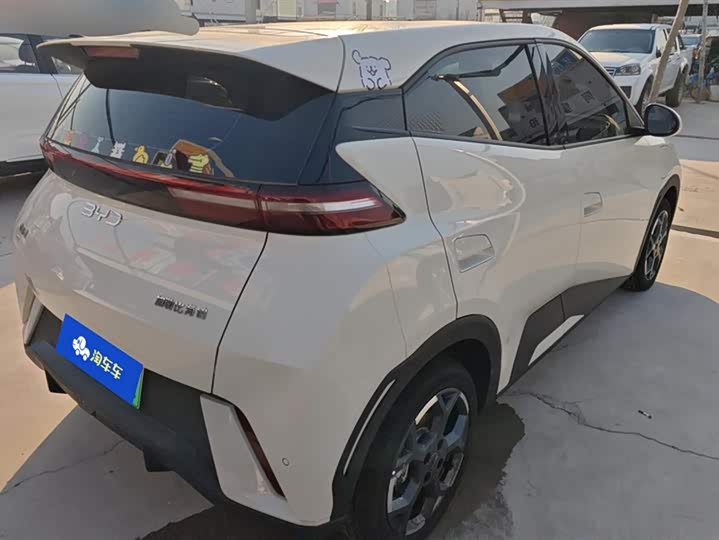 Фото 3 - BYD Seagull