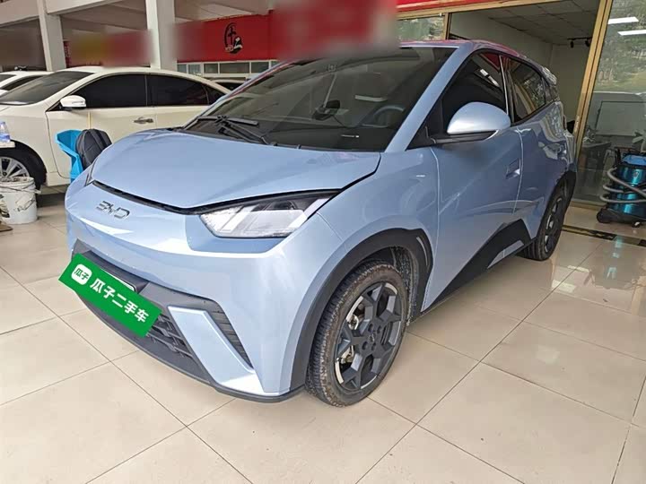 Фото 1 - BYD Seagull