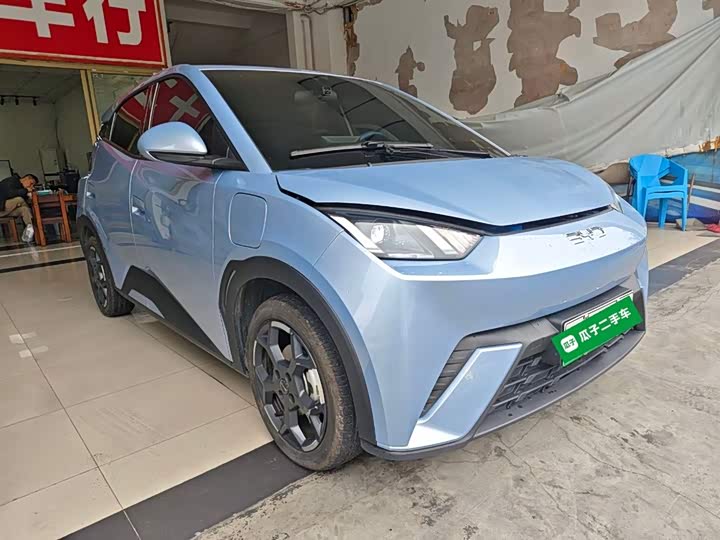 Фото 4 - BYD Seagull