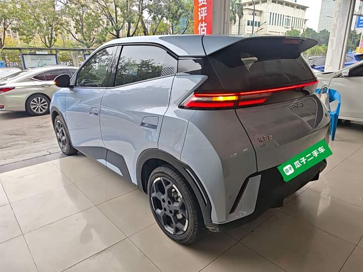 Фото 5 - BYD Seagull