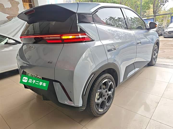 Фото 7 - BYD Seagull