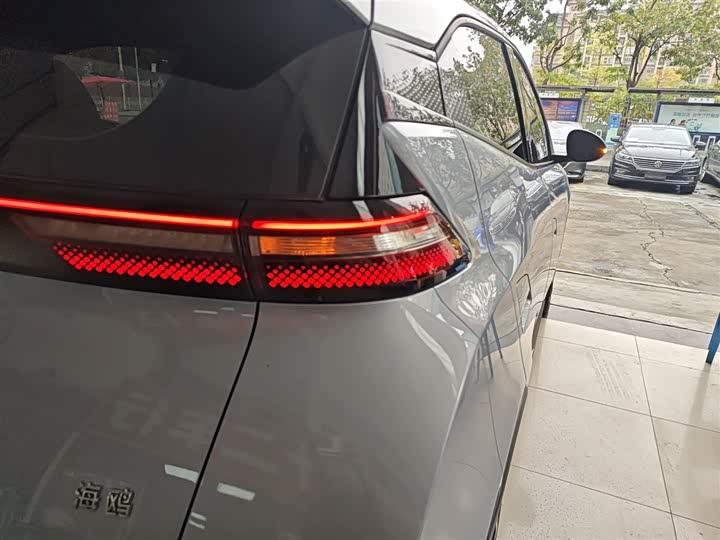 Фото 8 - BYD Seagull