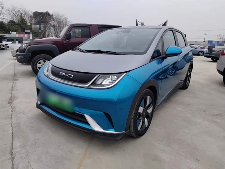 Фото 1 - BYD Dolphin