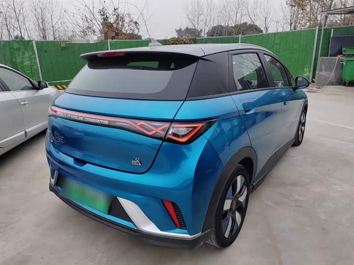 Фото 7 - BYD Dolphin