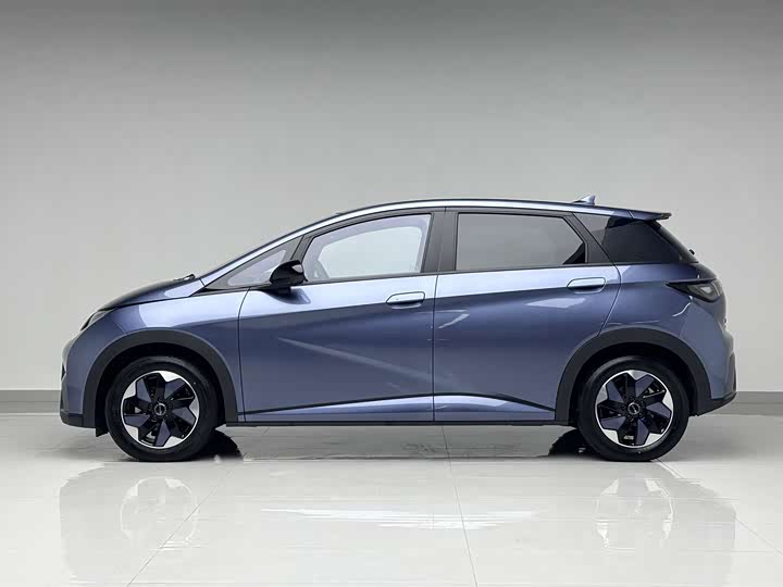 Фото 3 - BYD Dolphin