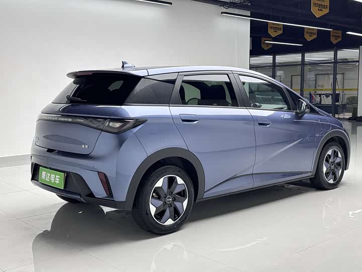 Фото 6 - BYD Dolphin