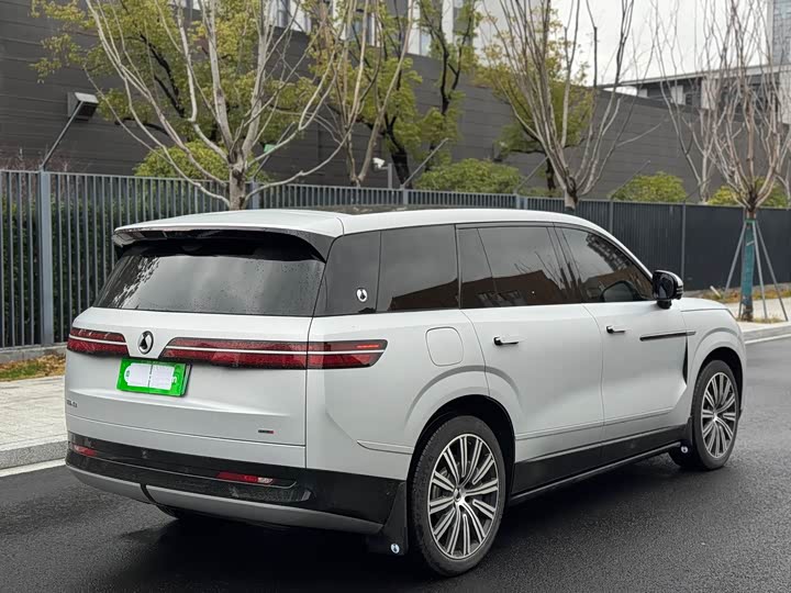 Фото 6 - Denza N9