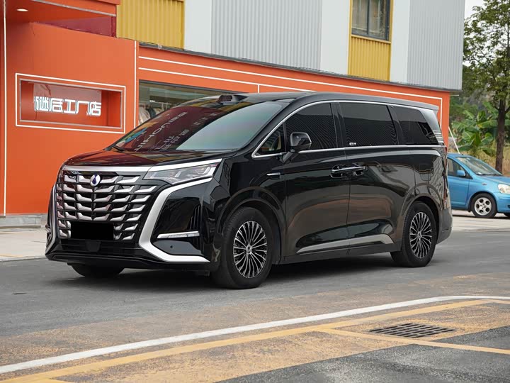 Фото 1 - Denza D9