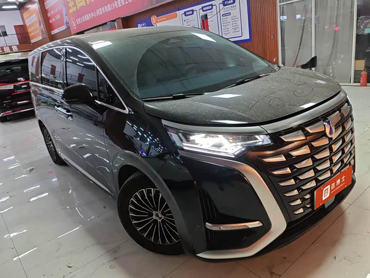 Фото 2 - Denza D9