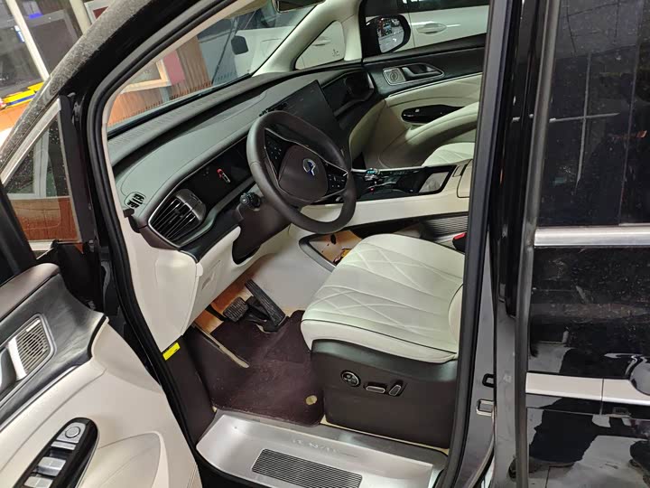 Фото 4 - Denza D9