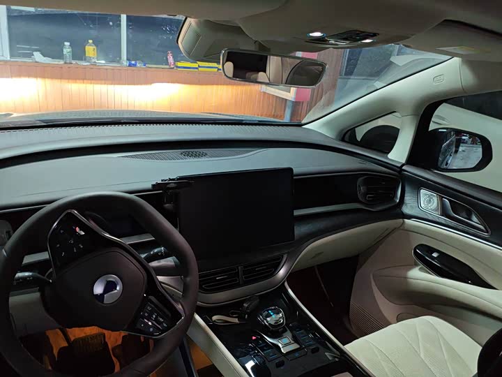 Фото 6 - Denza D9