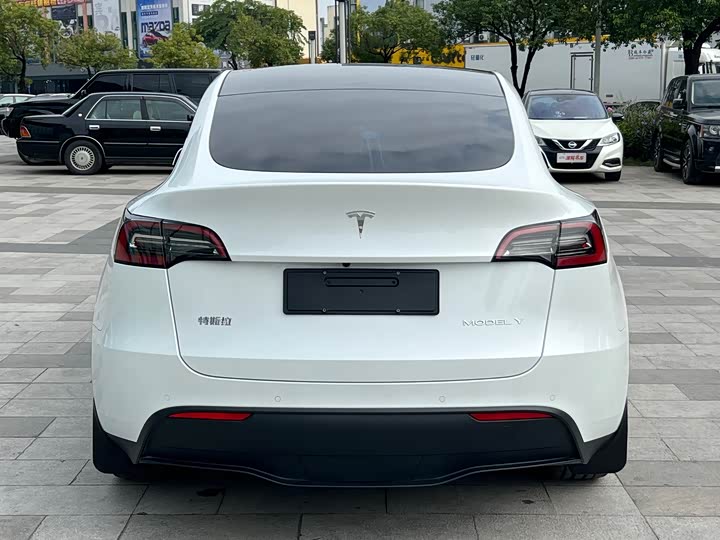 Фото 5 - Tesla Model Y