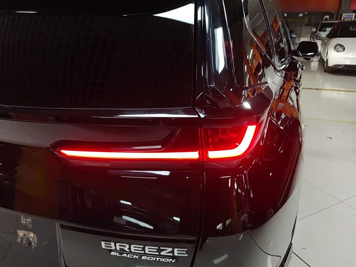 Фото 8 - Honda Breeze