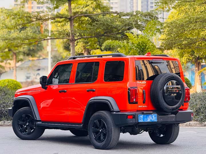 Фото 5 - Tank 300