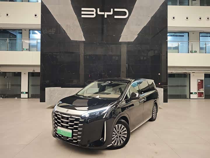 Фото 1 - BYD Xia