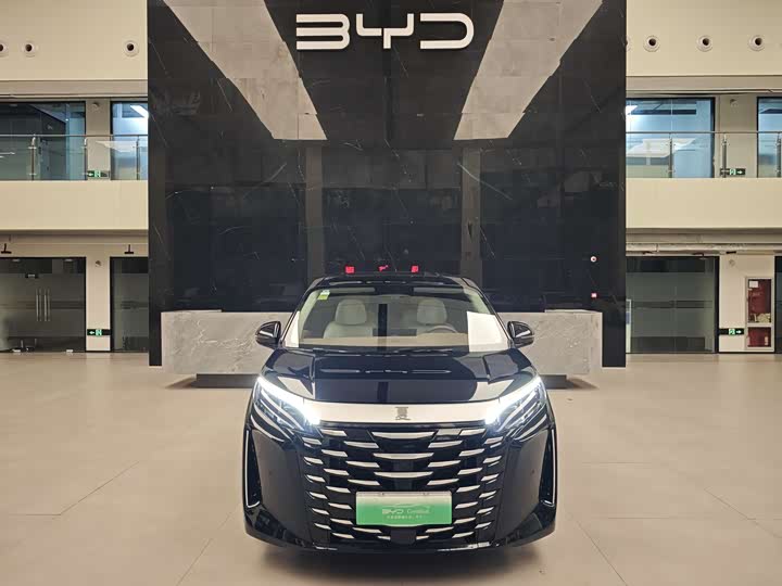 Фото 2 - BYD Xia