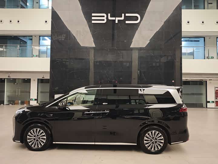 Фото 3 - BYD Xia