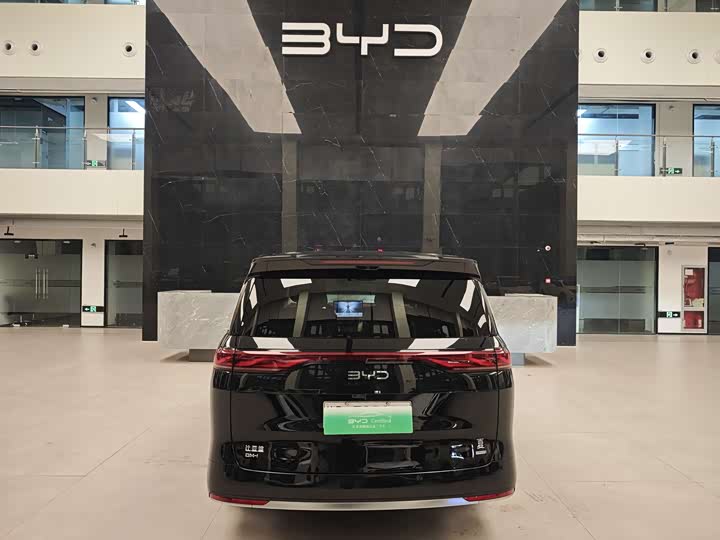 Фото 5 - BYD Xia