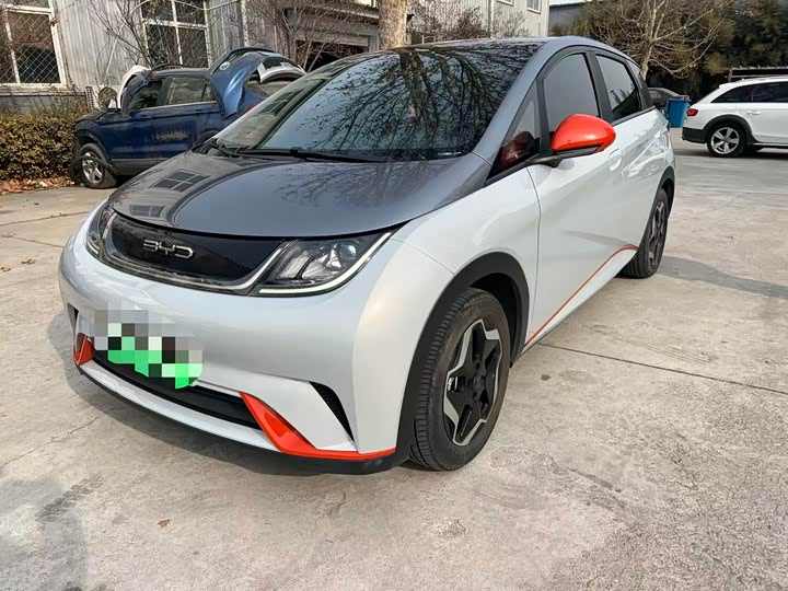 Фото 1 - BYD Dolphin