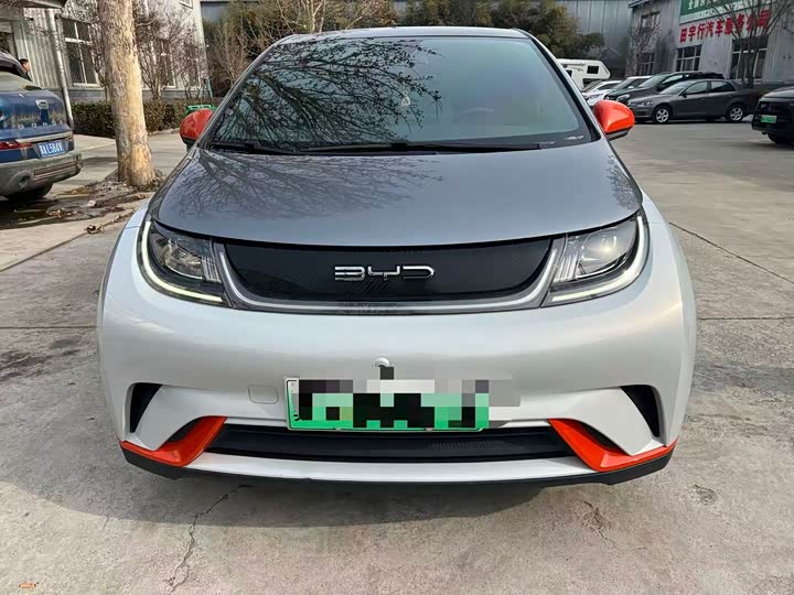 Фото 2 - BYD Dolphin