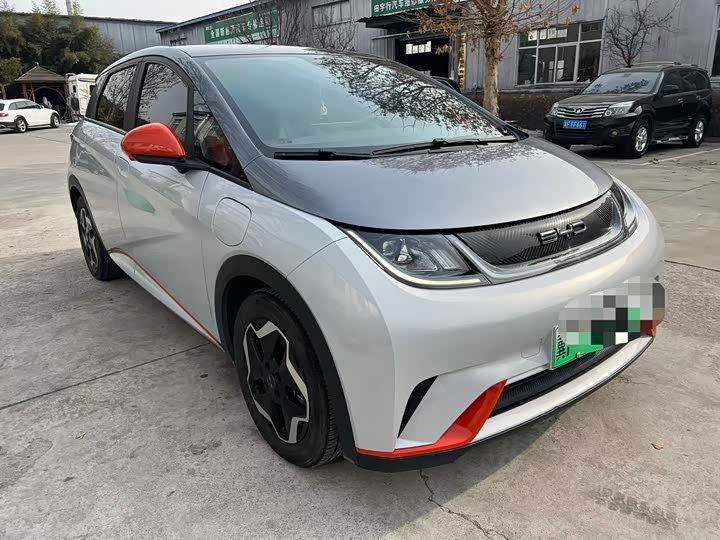 Фото 3 - BYD Dolphin