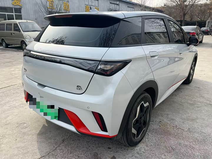 Фото 9 - BYD Dolphin