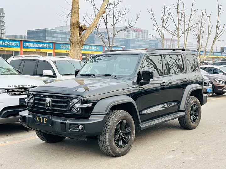 Фото 1 - Tank 300