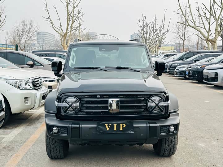 Фото 2 - Tank 300