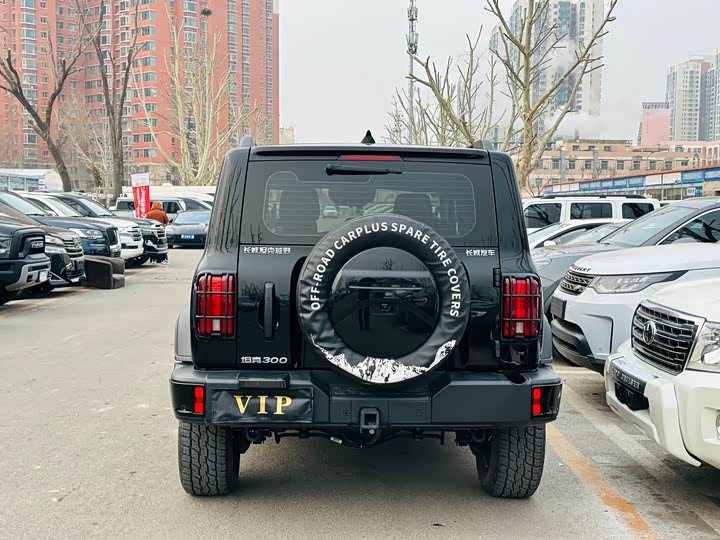 Фото 5 - Tank 300