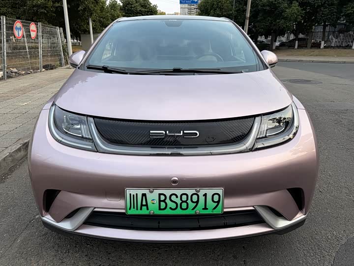 Фото 2 - BYD Dolphin