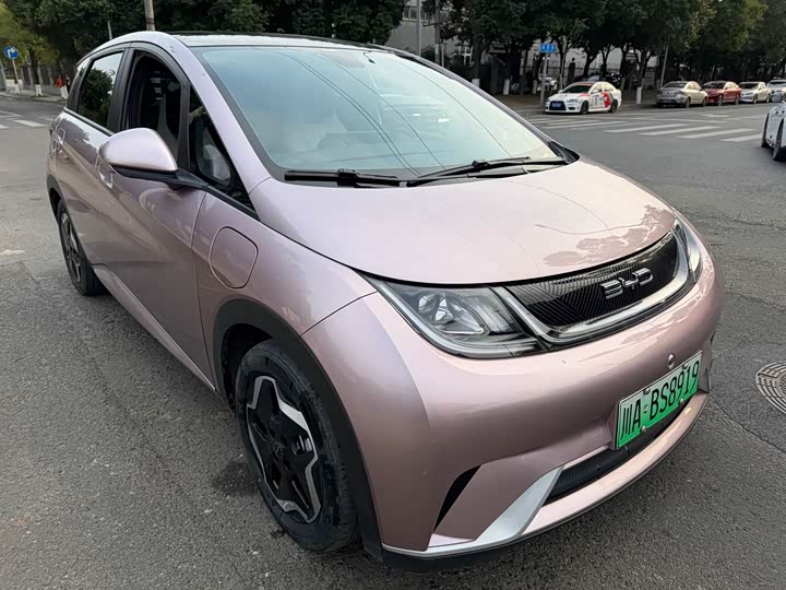 Фото 3 - BYD Dolphin