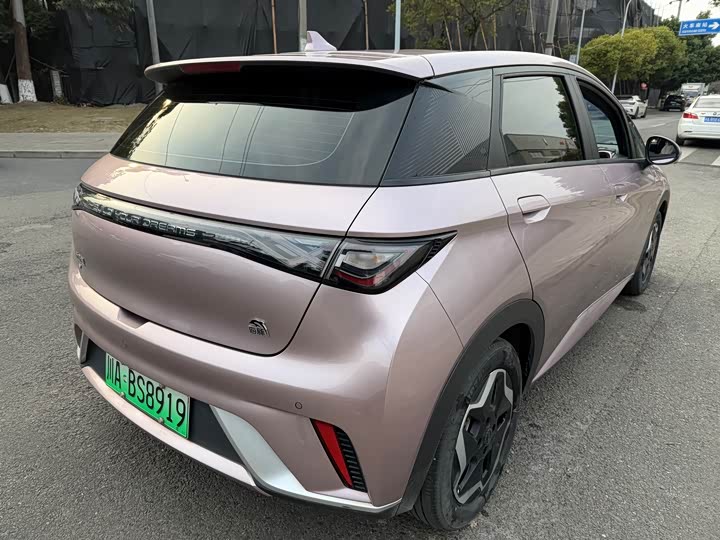 Фото 5 - BYD Dolphin