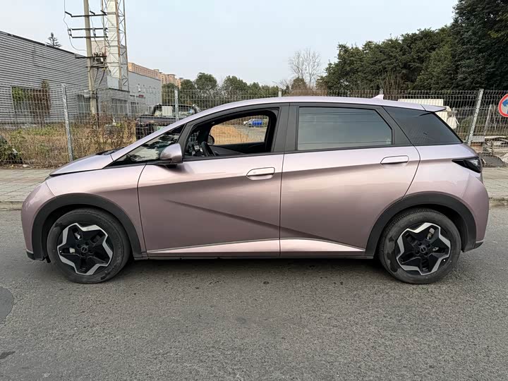 Фото 7 - BYD Dolphin