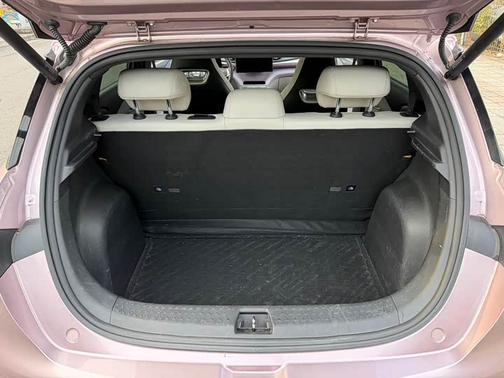 Фото 8 - BYD Dolphin