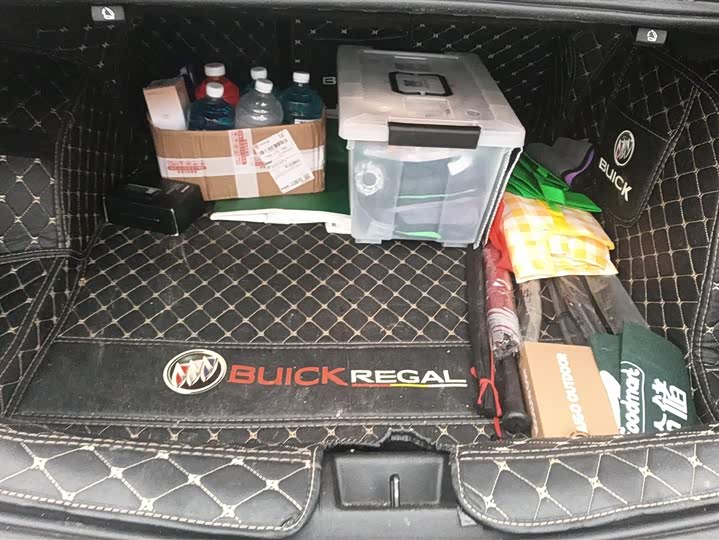 Фото 4 - Buick Regal