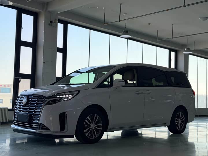 Фото 1 - Buick GL8 ES