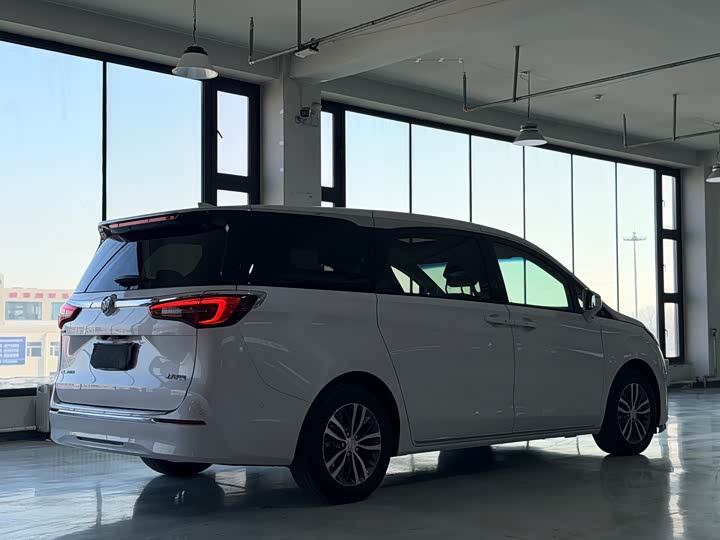 Фото 9 - Buick GL8 ES