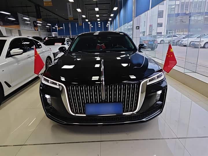 Фото 3 - Hongqi H9