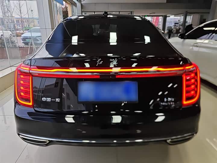 Фото 6 - Hongqi H9